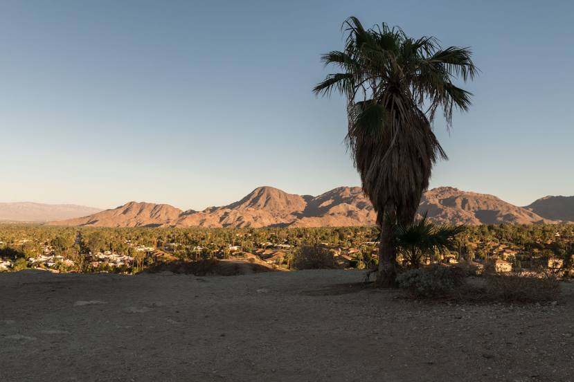 Palm Desert Cross